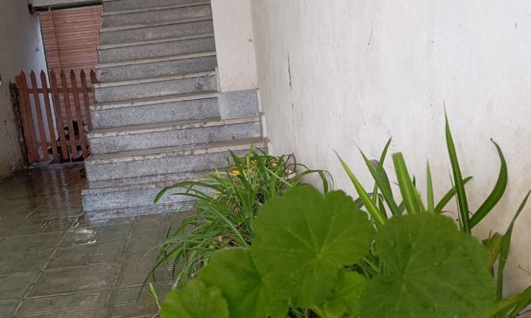 اجاره ویلا تک خواب گل لاله