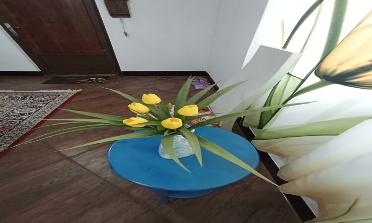 اجاره ویلا تک خواب گل لاله