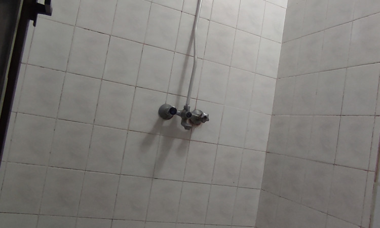 اجاره آپارتمان تک خواب چالوس