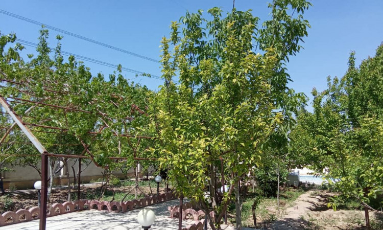اجاره ویلا استخر روباز آبسرد نوساز شهریار