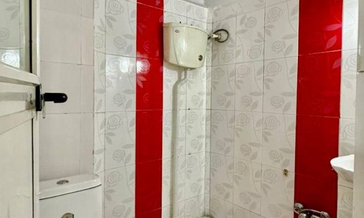 اجاره آپارتمان تک خواب لوکس سروش طبقه اول