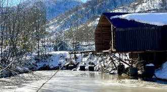 اجاره کلبه جنگلی آرایی