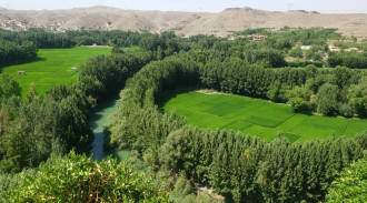 اجاره ویلا دوخواب دال خانی باغ بهادران