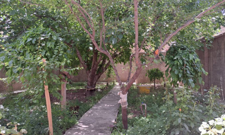 اجاره ویلا دو خواب نور آبی 1