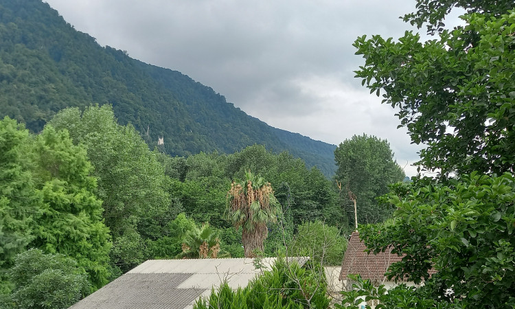 اجاره آپارتمان دوخواب جنگلی گل نرگس