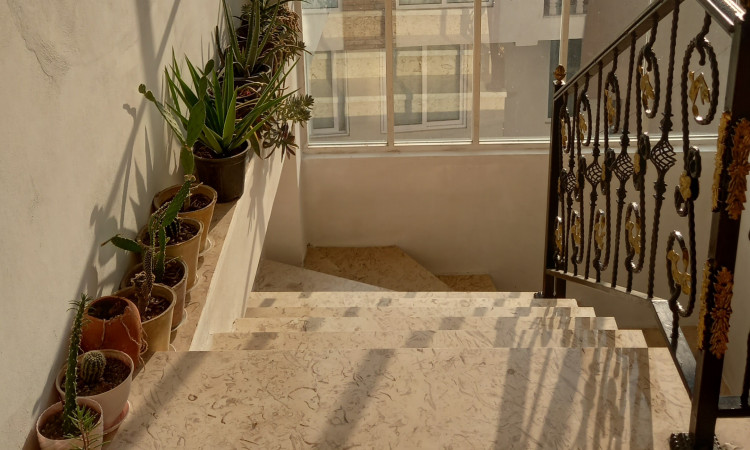 اجاره آپارتمان دوخواب جنگلی گل نرگس