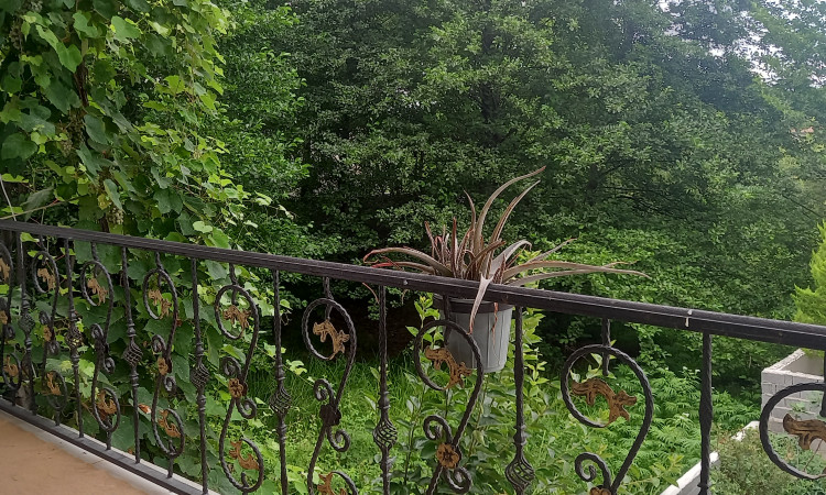 اجاره آپارتمان دوخواب جنگلی گل نرگس