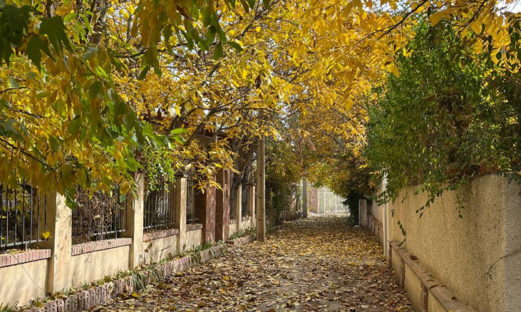 اجاره ویلا مدرن بهاران