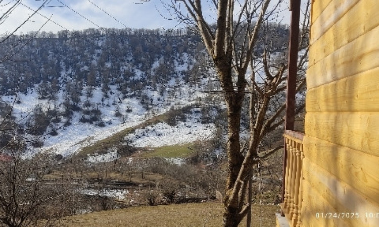 اجاره کلبه چوبی تک خواب مهران
