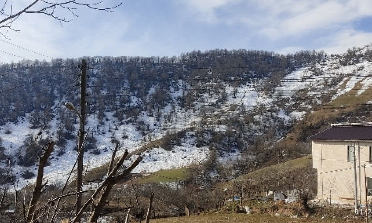 اجاره کلبه چوبی تک خواب مهران
