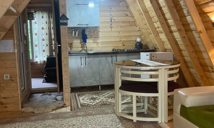 اجاره کلبه سوئیسی دوبلکس جنگلی وهاب