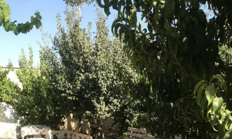 اجاره باغ ویلا استخر آب گرم آذر