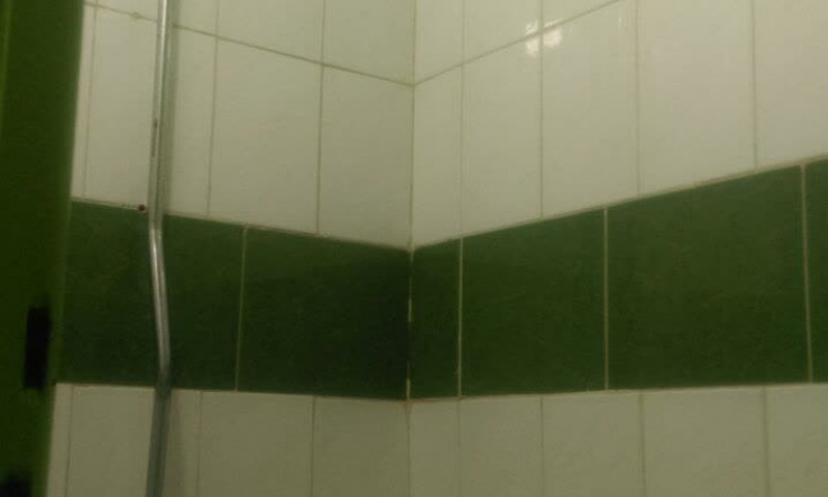 اجاره آپارتمان یک خوابه مجیدیه