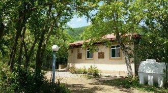 اجاره ویلا سه خوابه جنگلی