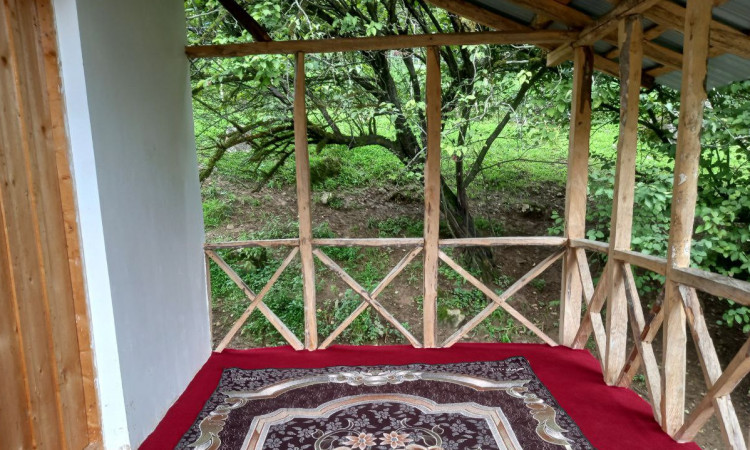 اجاره کلبه دوبلکس جنگلی قائم 2