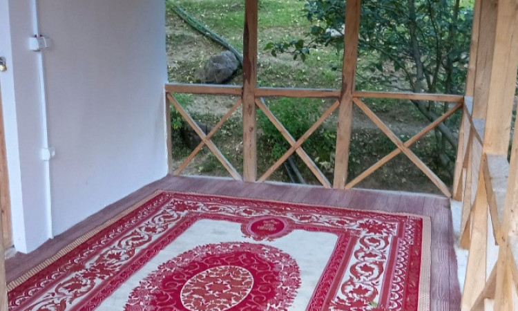 اجاره کلبه دوبلکس جنگلی توسکا 1
