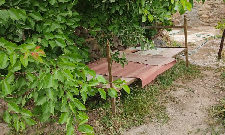 اجاره خانه سنتی تک خواب ائلمان