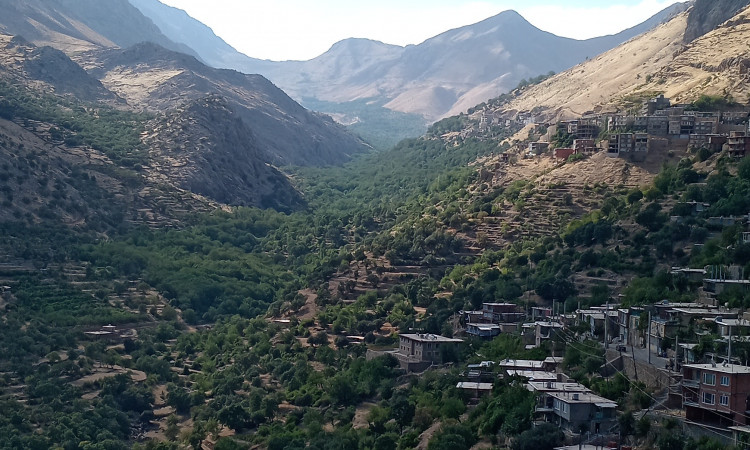 اجاره آپارتمان تک خوابه طبقه دوم