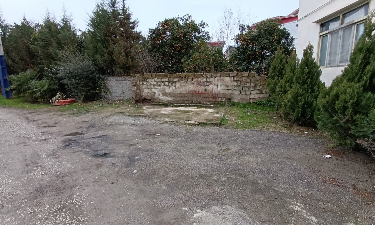 اجاره ویلا تک خواب گل سرخ
