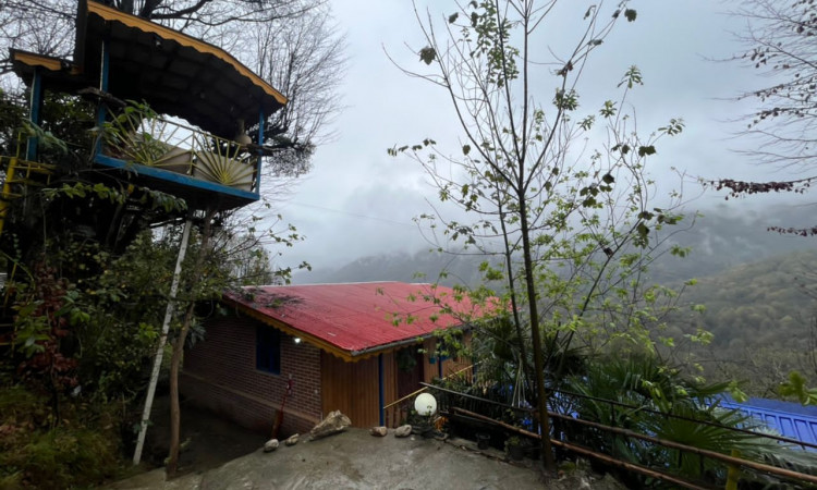اجاره کلبه جنگلی دو خواب آرامش