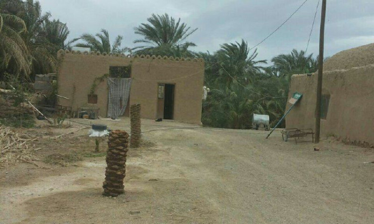 بوم گردی ریگ و آفتاب