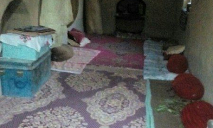 بوم گردی ریگ و آفتاب