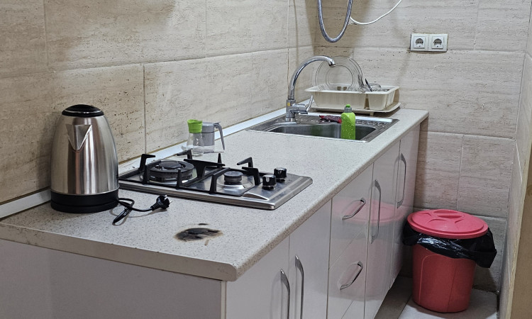 اجاره آپارتمان تک خوابه پارمیس 4