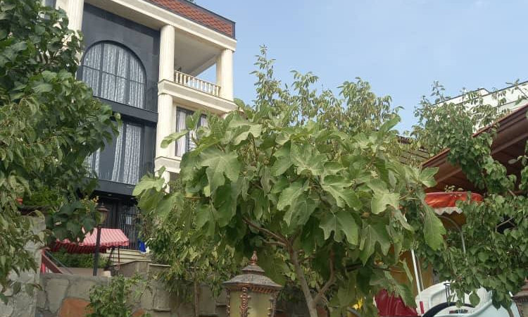اجاره عمارت 7 خواب پارسیان