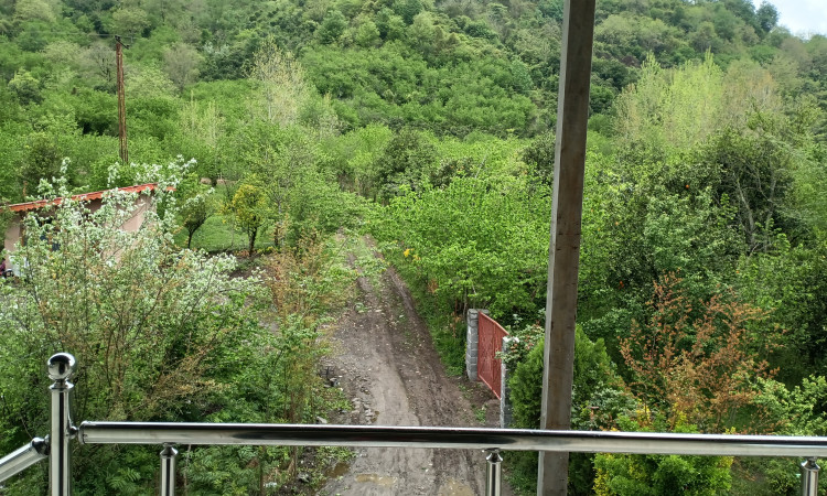 اجاره ویلا جنگلی خانه سبز رانکوه