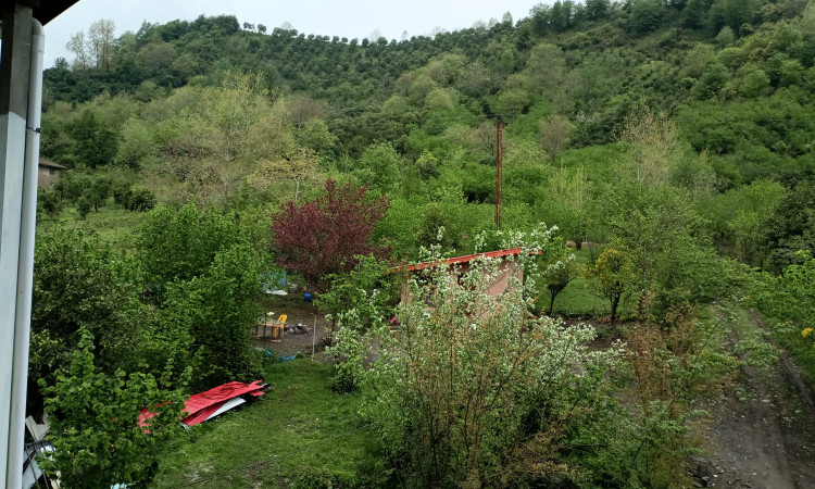 اجاره ویلا جنگلی خانه سبز رانکوه