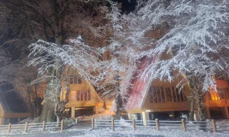 اجاره کلبه دوبلکس گل مرجان