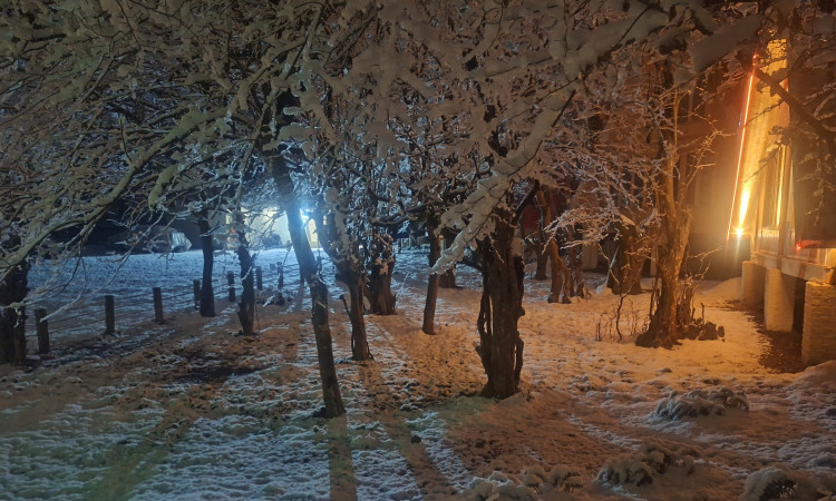 اجاره کلبه دوبلکس گل مرجان