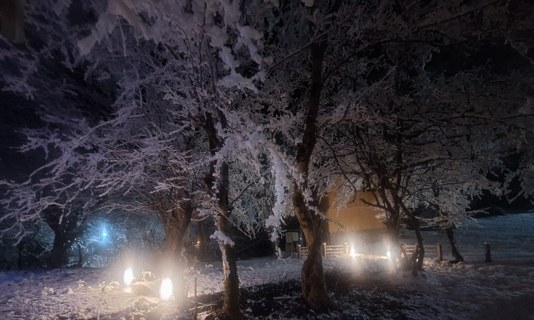 اجاره کلبه دوبلکس کلبه گل پتوس
