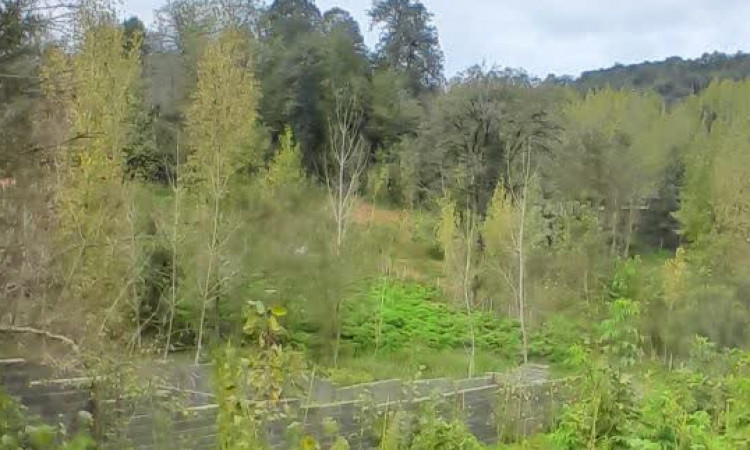 اجاره ویلا دو خواب لفور روستای بورخانی