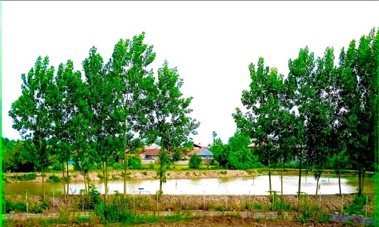 محمية غيل خاتون للسياحة البيئية - سرير عائلي ثلاثي في ​​الطابق الثاني