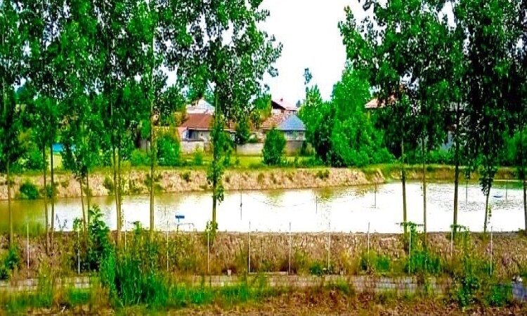 رزرو بومگردی گیل خاتون - اتاق گیل‌ ناز مدرن