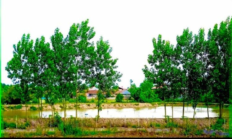 حجز سياحة جيلخاتون - سريرين مزدوجين في الطابق الأول