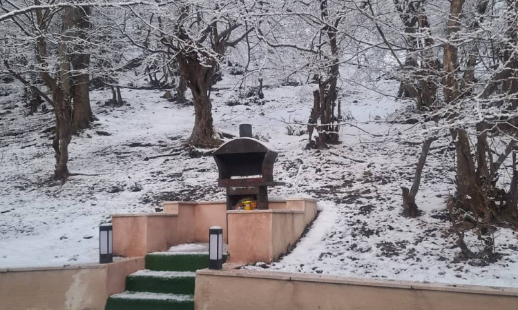 اجاره کلبه فلت ستاره طلایی