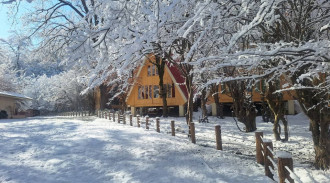اجاره کلبه فلت ستاره طلایی