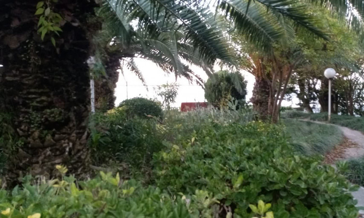 اجاره ویلا سه خواب ساحلی محمودآباد