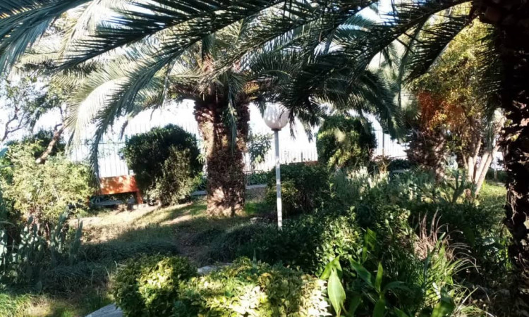اجاره ویلا سه خواب ساحلی محمودآباد