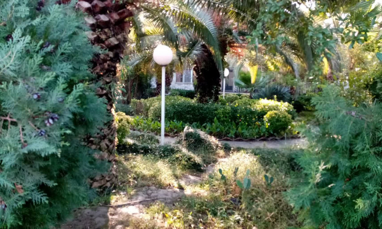 اجاره ویلا سه خواب ساحلی محمودآباد