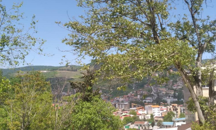 اجاره ویلا دوبلکس جنگلی نگین