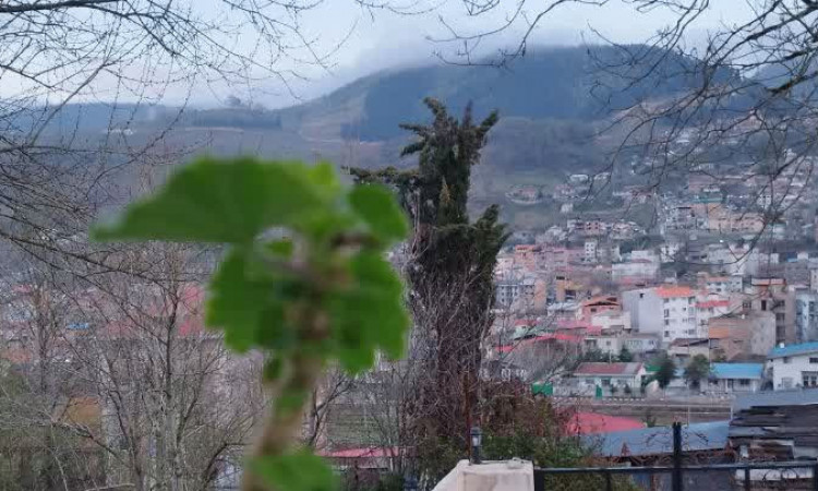 اجاره ویلا دوبلکس جنگلی نگین
