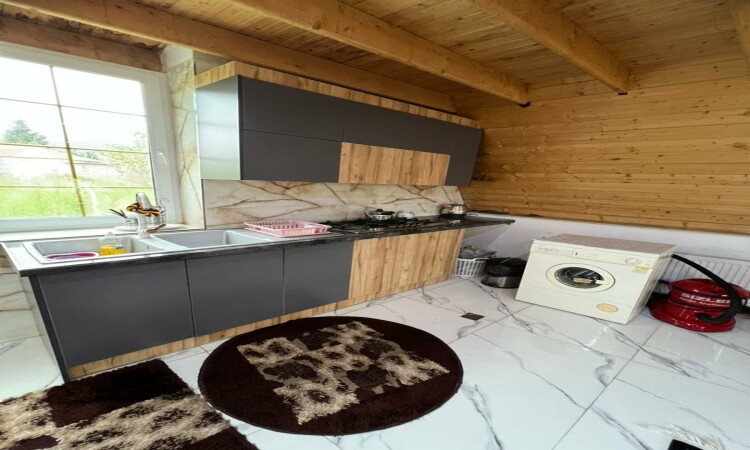 اجاره کلبه سوئیسی دیاموند