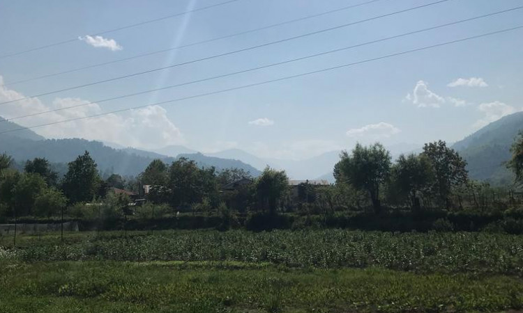 اجاره کلبه سوئیسی دیاموند