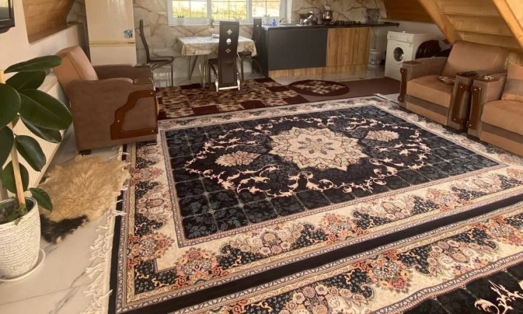 اجاره کلبه سوئیسی دیاموند