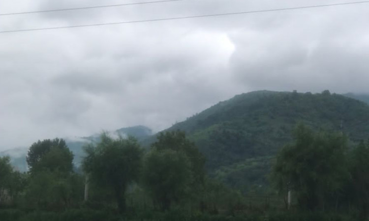 اجاره کلبه سوئیسی دیاموند