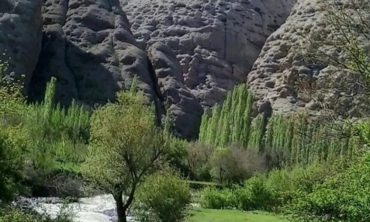 اجاره ویلا یک خوابه آله