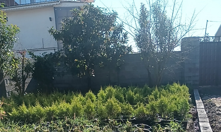 اجاره ویلا دو خواب گیلداد